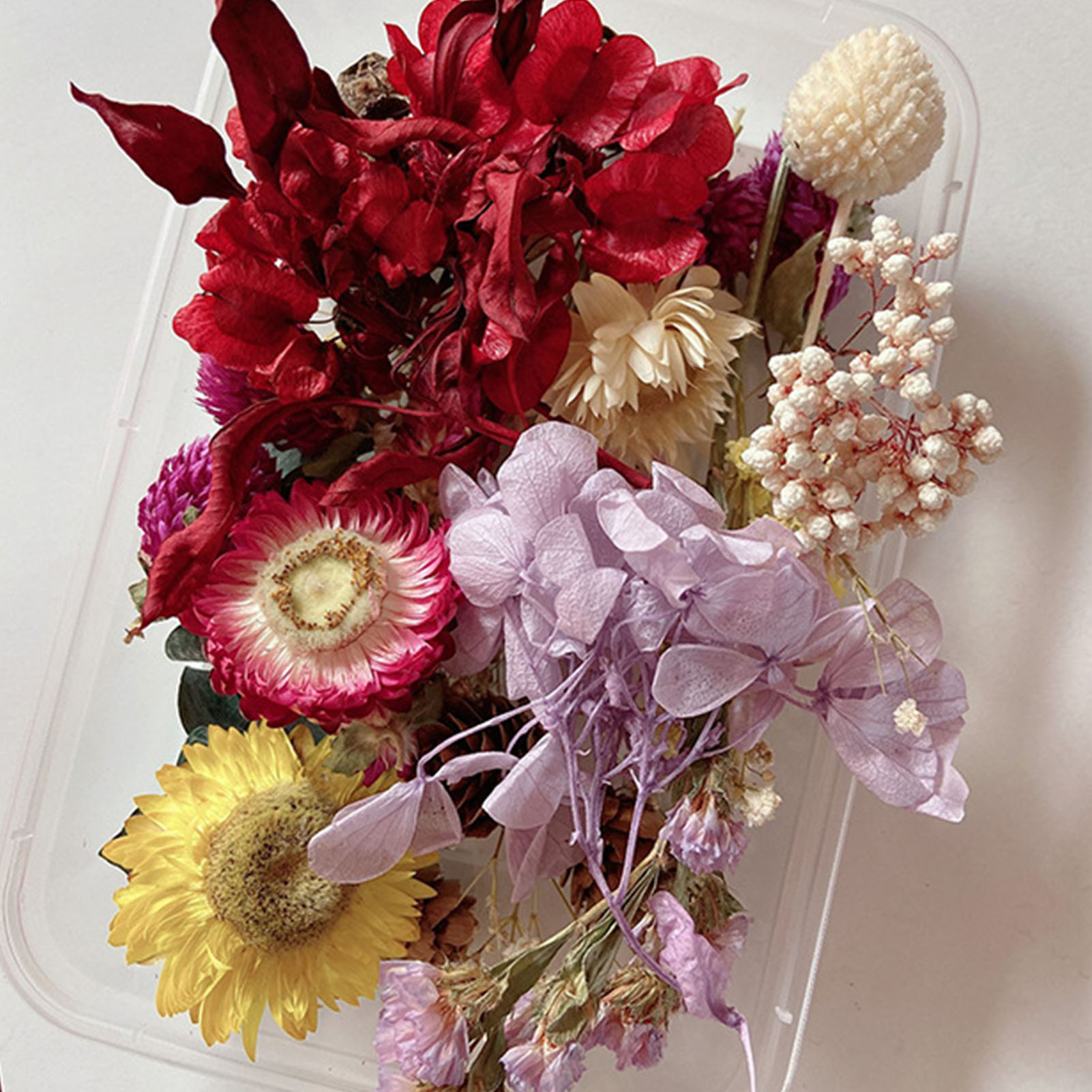 Natural Dried Flower Kit Press - Candle Making Kit Diy 评论和价格