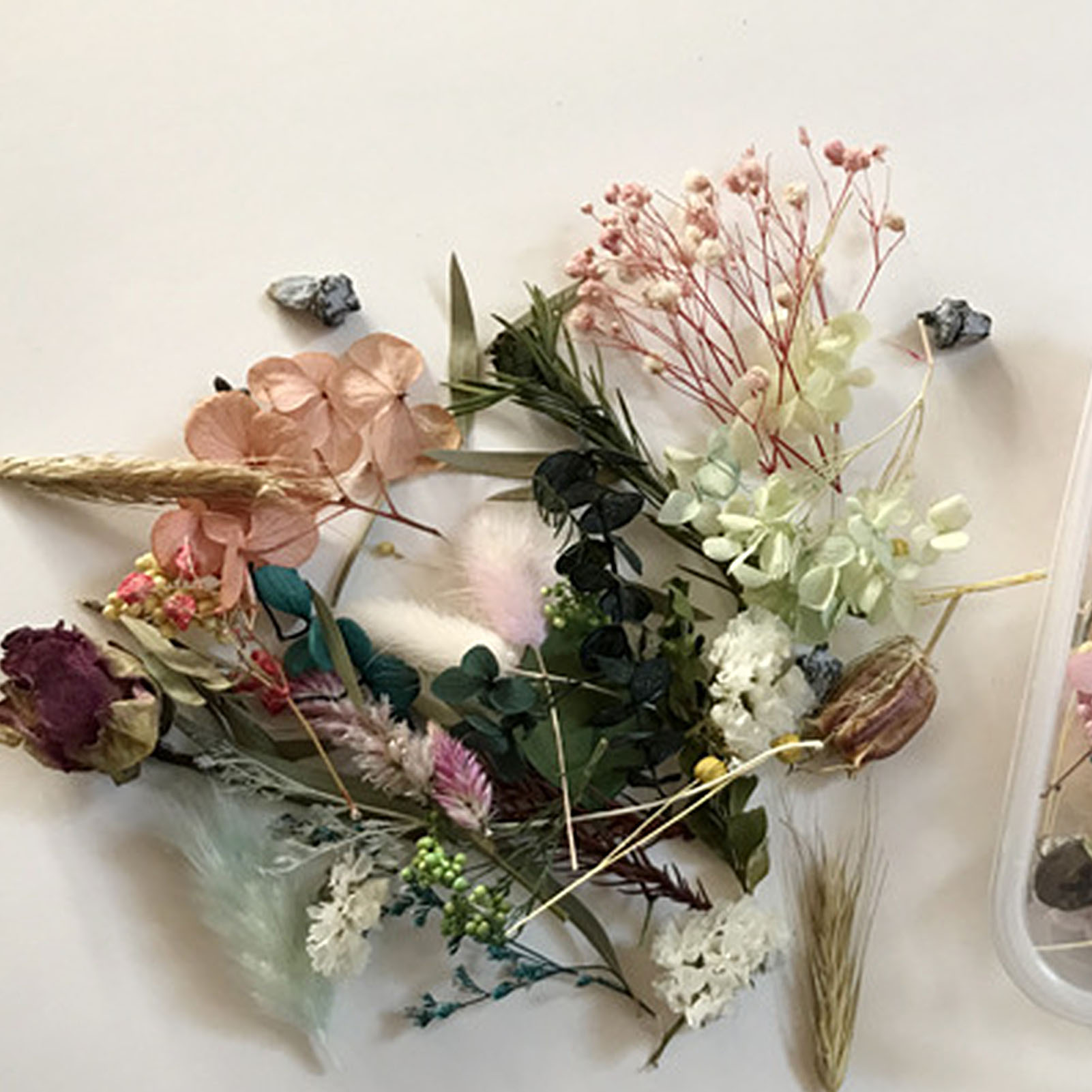 Natural Dried Flower Kit Press - Candle Making Kit Diy 评论和价格