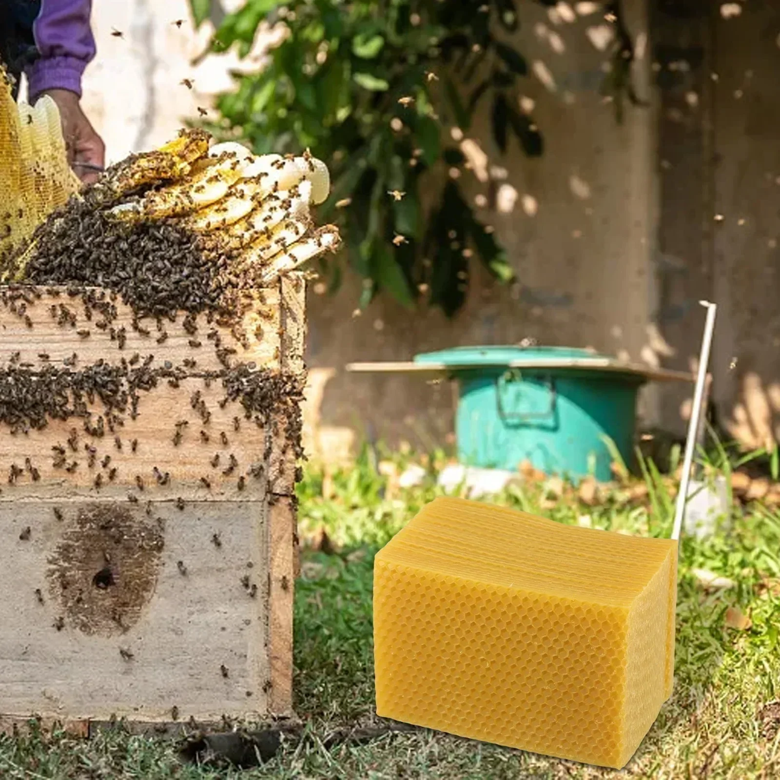 Beehive Supplies Beehive Found - Candle Making Kit Beeswax 评论和价格