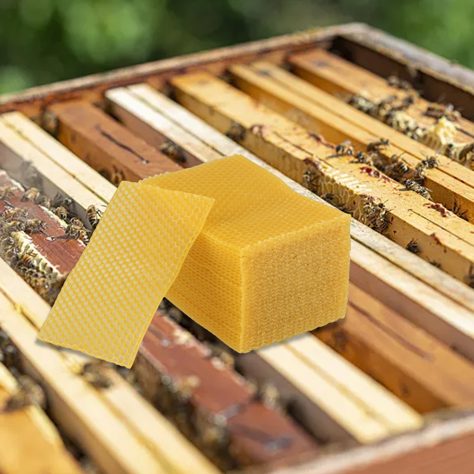 5.24 X 3.54 Beehive Foundation - Candle Making Kit Beeswax 评论和价格
