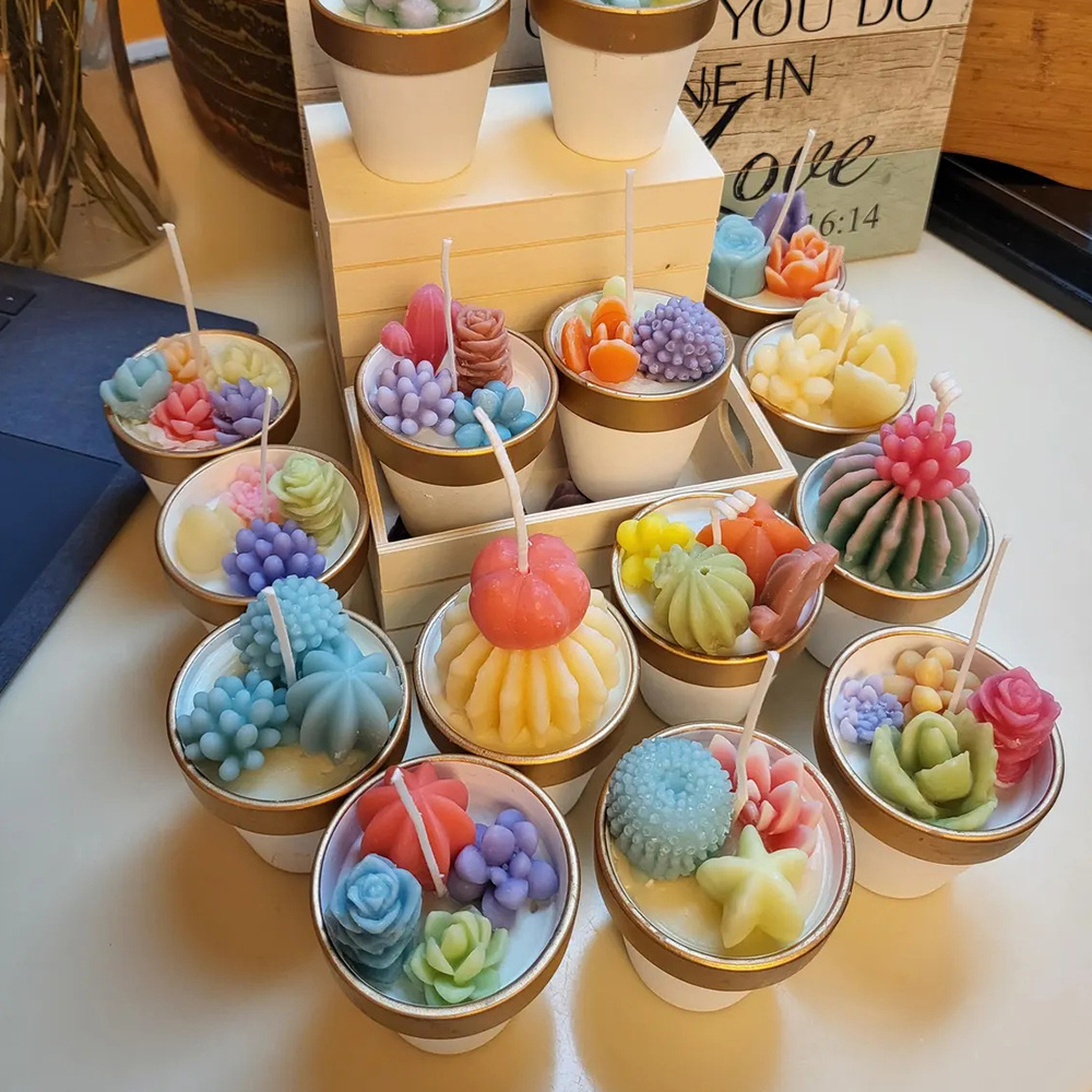 6pcs Succulent Silicone Candle - Candle Making Video 评论和价格